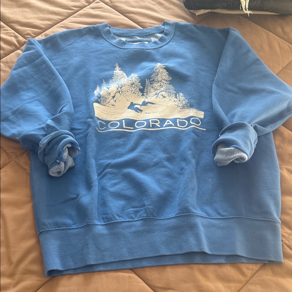 American Eagle Outfitters Blue Graphic Sweatshirt